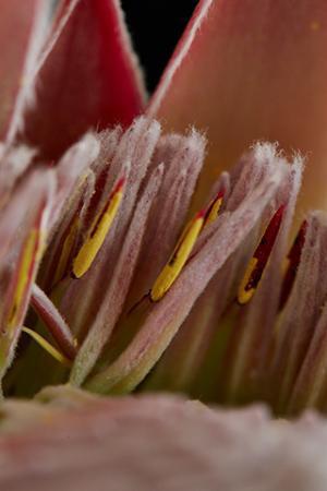 とっておきのワンピースで休日ディナーを。頑張った自分へのご褒美【サローネの休日--SATURDAY】