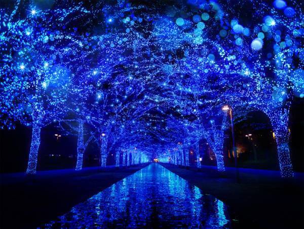 インスタ映えの聖地「青の洞窟 SHIBUYA」イルミネーション、ムービージェニックに進化して今年も開催中