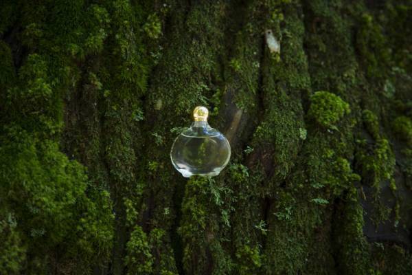 白金OFSが注目するブランドが集結! ジュエリー・アクセサリー展 「Jewelbox.#001」