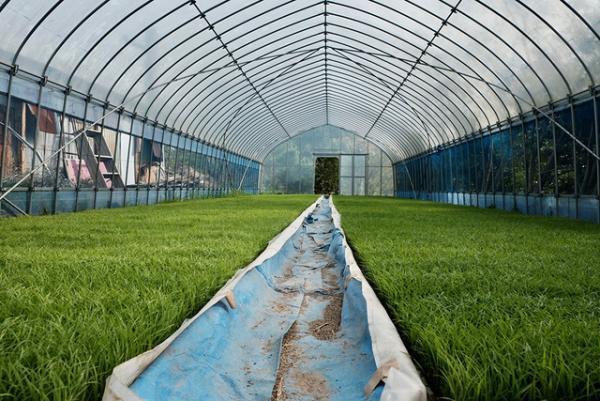 冷めても美味しいごはんの作り方。「つるかめ農園」の自然循環型の米づくり【千葉・南房総のゆる旅vol.6】