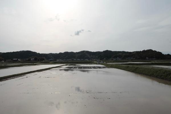 冷めても美味しいごはんの作り方。「つるかめ農園」の自然循環型の米づくり【千葉・南房総のゆる旅vol.6】