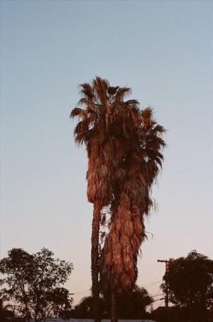 ゴーシャ・ラブチンスキーらが手掛けるロシア発スケートブランド「PACCBET2」がDSMGに登場