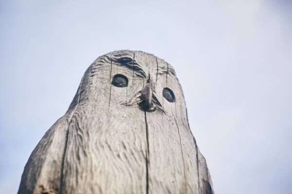 80歳の木彫り作家・西山忠雄による人生最後の個展「OWL」が中目黒 みどり荘ギャラリーで開催