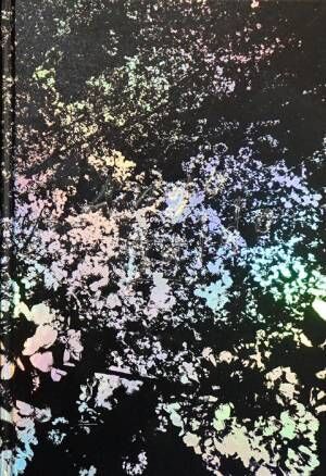 坂口安吾の短編小説『桜の森の満開の下』と森山大道の桜。写真展もスタート【NADiffオススメBOOK】