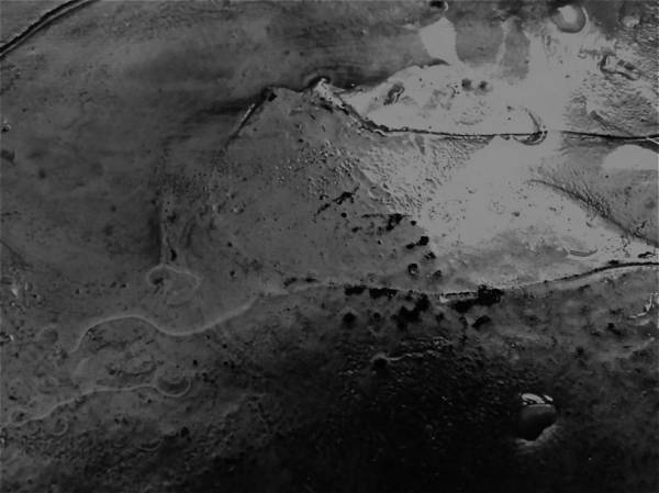 造形作家・TAKAGI KAORU、『皿と血』出版記念エキシビジョンを南青山・スパイラルで開催