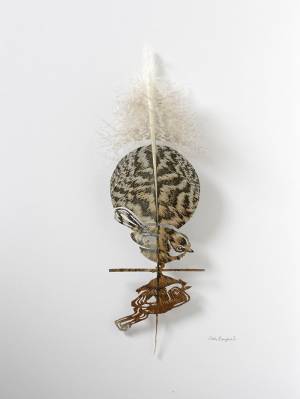 抜け落ちた鳥の羽根から飛び立つ、切り絵のアート!