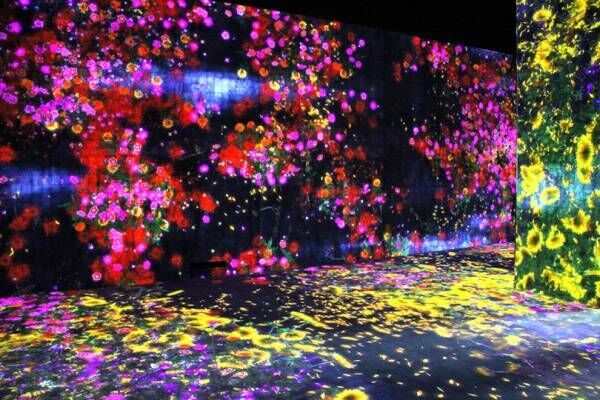 チームラボの世界初巨大デジタルアートミュージアムがお台場に6月開業、一足早く内部を公開