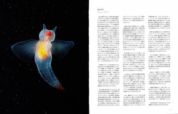 絶滅危機にさらされた野生動物たちの姿。日本初ティム・フラックの写真集【NADiffオススメBOOK】