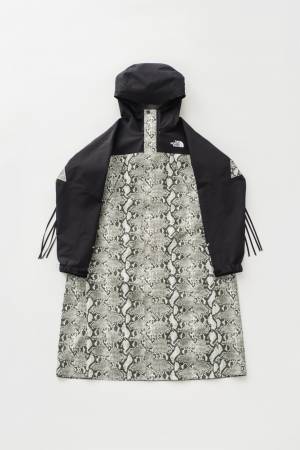 ザ・ノース・フェイス × ハイク、コラボライン全型公開。GORE-TEXのアウター3型がラインアップ