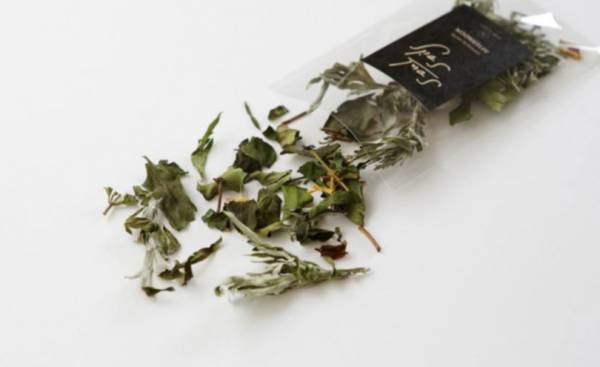 ロンハーマン二子玉川&名古屋にて、ユニオンランチのポップアップ! 野菜マルシェやハーブ・アロマを使った特別なプロダクトも