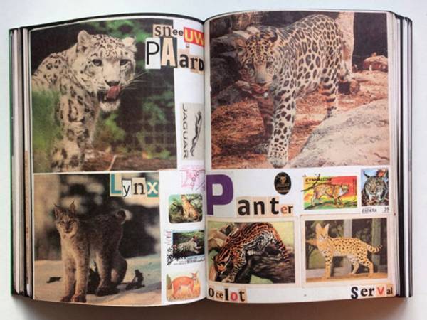 グラフィックデザイナーのマーティン一家が作った動物帳【ShelfオススメBOOK】