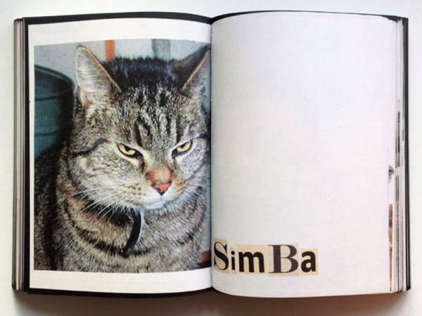 グラフィックデザイナーのマーティン一家が作った動物帳【ShelfオススメBOOK】