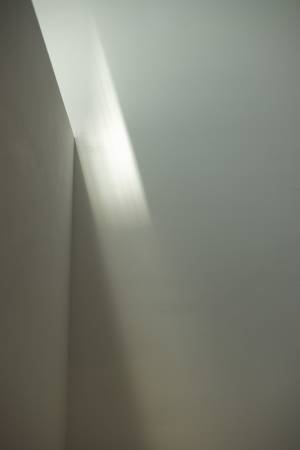 写真家・蓮井幹生が捉えた“光の画”。学大BOOK AND SONSで作品展開催