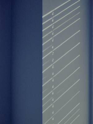 写真家・蓮井幹生が捉えた“光の画”。学大BOOK AND SONSで作品展開催