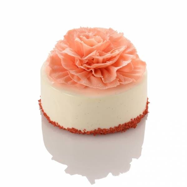 フレデリック・カッセルの5月限定“赤い色”の「いちご」スイーツ! 母の日におすすめなカーネーションケーキも