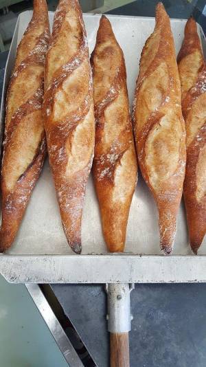 今週のアクセスランキングBEST5【気になるTopics / 5月5日－11日】