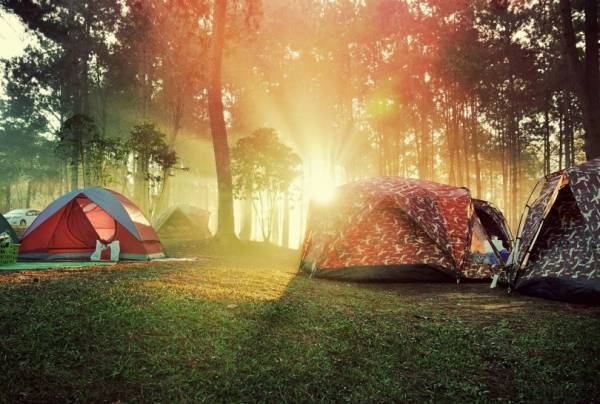 箱根・ポーラ美術館の森でキャンプ宿泊体験! 美術館貸切に野外映画、自然とアートを楽しむイベント