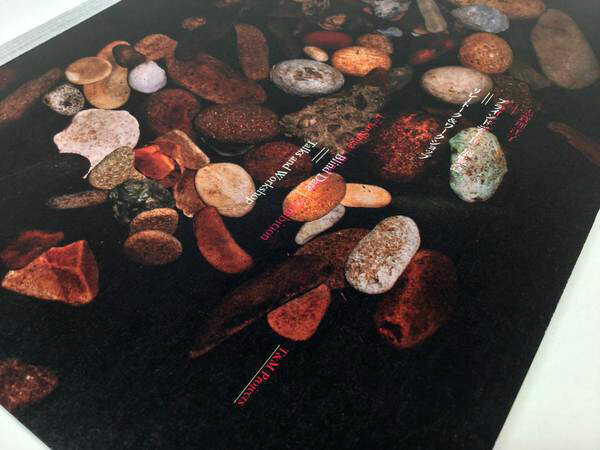 彼女たちは何を見ているのか。志賀理江子「ブラインドデート」展公式ブック【ShelfオススメBOOK】