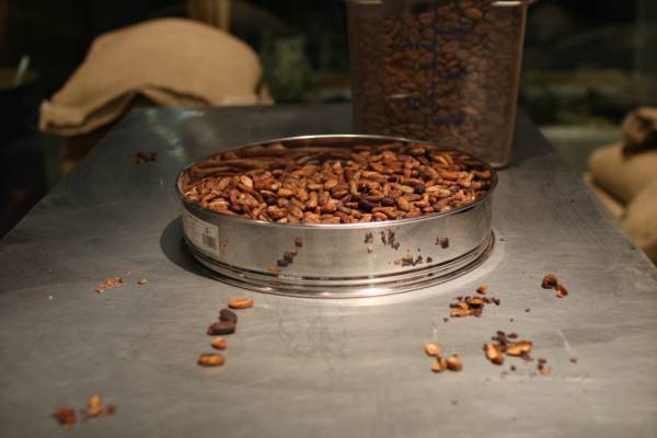 ダンデライオン・チョコレート京都に世界初のカカオバーがオープン! カカオのデザートをカクテルと味わう