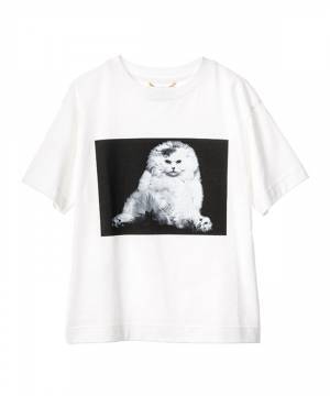 ミュベール、今シーズンアイコンの猫写真展を開催! 写真家・榊原俊寿とのコラボアイテムが登場