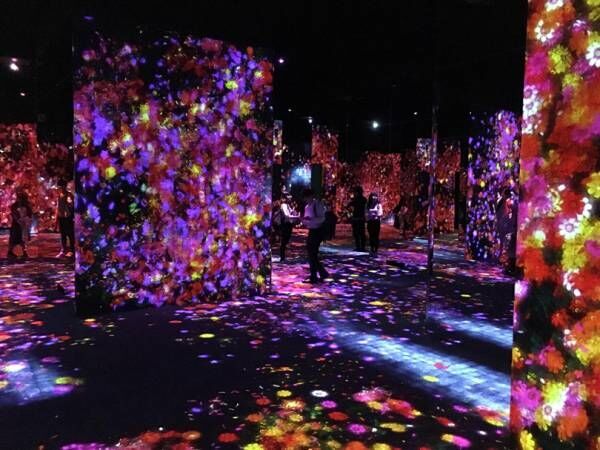 森ビルとチームラボの世界初デジタルアートミュージアムが21日開業、“彷徨いながら自らの身体で探索、発見する場所”