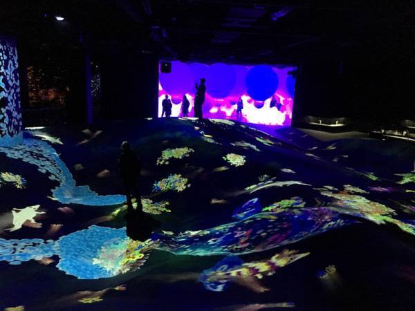 森ビルとチームラボの世界初デジタルアートミュージアムが21日開業、“彷徨いながら自らの身体で探索、発見する場所”
