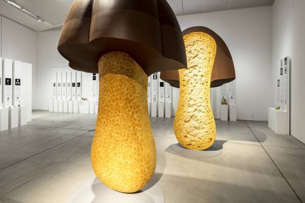 チームラボのデジタルアートミュージアム、シャネルイベント、間もなく終了の落合陽一展etc...今週末何する? 【気になるTopics】