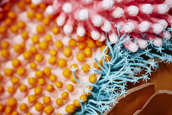 息を飲むほど美しい、色紙のサンゴ礁。仏アーティストによるペーパーアート「コーラリウム」