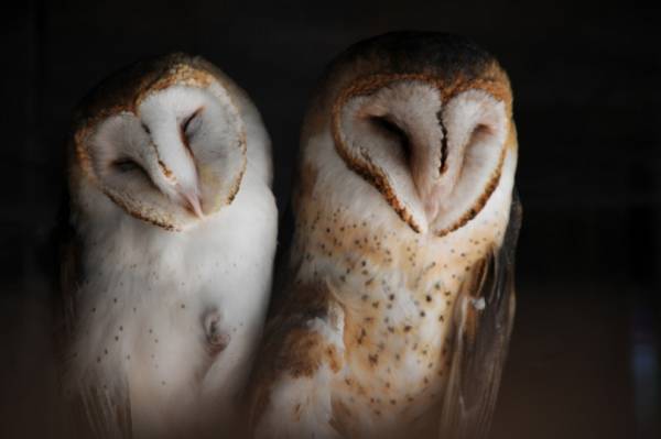 自然を愛する2人、テリ・ワイフェンバックとケイト・マクドネルの展示と写真集【ShelfオススメBOOK】