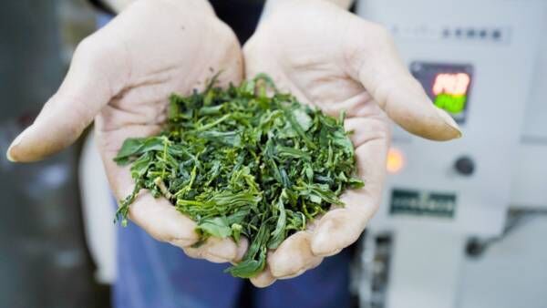 世界のお茶が100種類以上集まるお茶づくしのイベントが青山で開催!