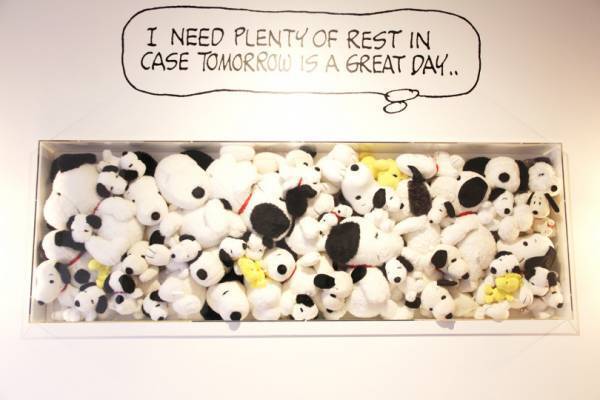 今週のアクセスランキングBEST5【気になるTopics / 7月21日－7月27日】