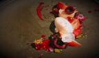 アナ スイ × ビストロ ファヴォリ代官山、アイテム提示でアナ スイ・コスメ20周年記念のスペシャルデザートをプレゼント!