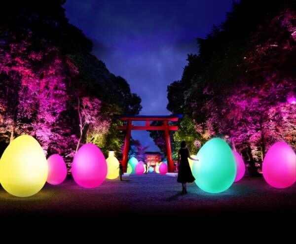 チームラボ、京都の下鴨神社と山口・宇部市の植物館を夜間限定でデジタルアート空間に!