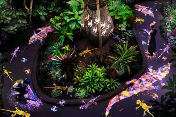 チームラボ、京都の下鴨神社と山口・宇部市の植物館を夜間限定でデジタルアート空間に!