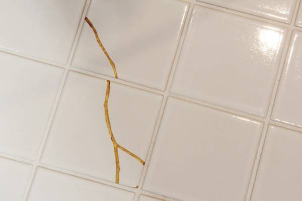 【更新】丸の内に新商業施設「二重橋スクエア」が開業! 日本初出店や新業態など25店舗がオープン