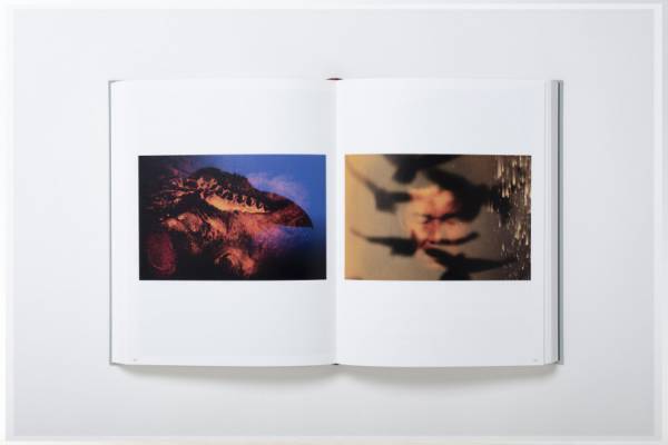 写真家・深瀬昌久の40年を網羅した全26章による決定版【ShelfオススメBOOK】