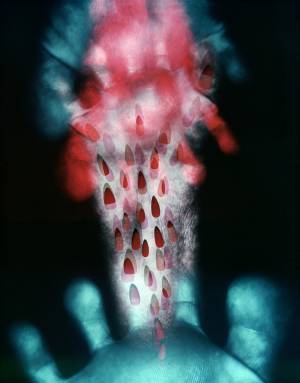 京都国際写真祭 2018で好評を博した展示の一部が「TOKYOGRAPHIE」として東京に巡回