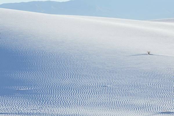 フォトグラファー・牧野吉宏、写真展にてニューメキシコ州の白い砂丘を撮影した新作を発表