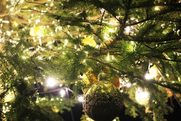 横浜赤レンガ倉庫のクリスマスマーケットがスタート! 高さ10mのツリー、本場ドイツの古都“アーヘン”のムードを味わって