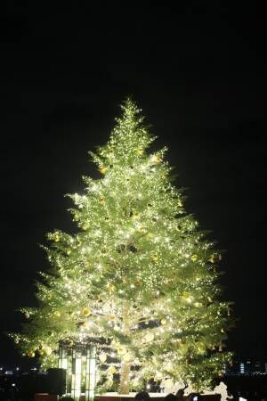 横浜赤レンガ倉庫のクリスマスマーケットがスタート! 高さ10mのツリー、本場ドイツの古都“アーヘン”のムードを味わって