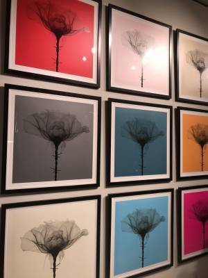 バリー銀座のSHOK-1展にスウィズ・ビーツと大坂なおみが来場