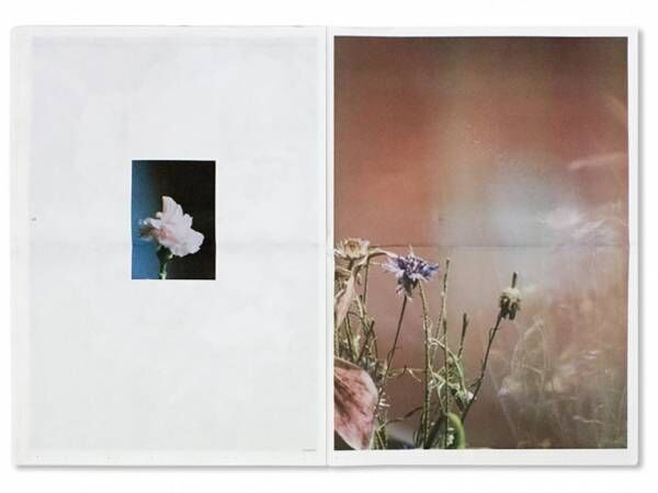花を被写体にしたリナ・シェイニウス最新写真集『Flowers』【ShelfオススメBOOK】