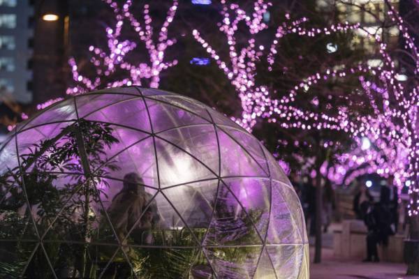 目黒川のイルミネーション、今年も40万個のLEDで“冬の桜”が満開に! 11月9日から開催