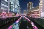 目黒川のイルミネーション、今年も40万個のLEDで“冬の桜”が満開に! 11月9日から開催