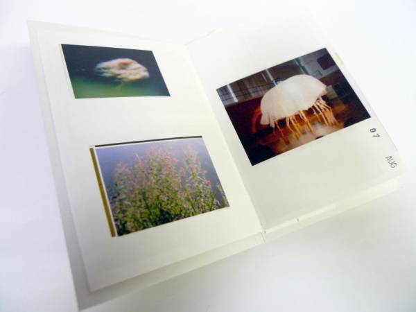 神宮外苑「なんじゃもんじゃの木」から、花代が紡いだひと夏の物語【ShelfオススメBOOK】