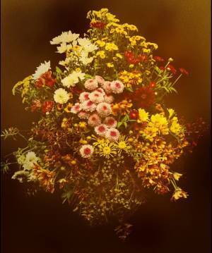 箱根ポーラ美術館で絵画に描かれた“時間”をたどる展覧会、フラワーアーティスト東信によるコラボ作品も