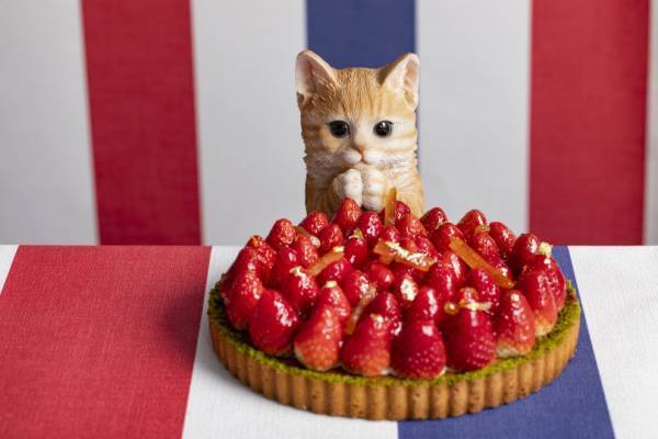 いちご尽くしのデザートフェア、猫コラボ人気で会期延長! ヒルトン東京でGWも開催