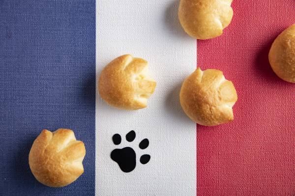 いちご尽くしのデザートフェア、猫コラボ人気で会期延長! ヒルトン東京でGWも開催