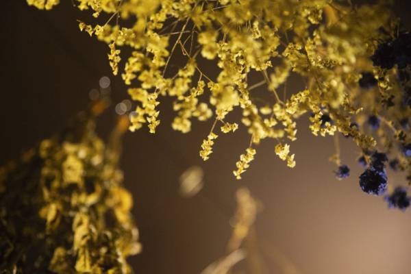 【OL食事情at 22:30PM】ちょっぴりセンチメンタルな夜にも行きたい、フラワー・ヒーリングバー。池袋「HANABAR」