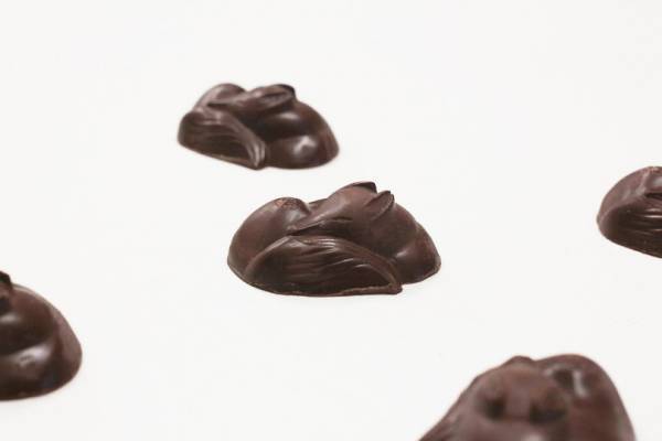 すやすや眠るキツネのチョコレート。パリから届いたかわいい手土産【EDITOR'S BLOG】